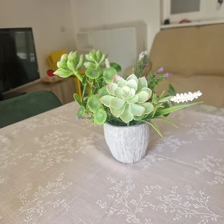 Evamare Apartamento